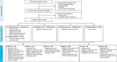 Transarterial chemoembolization with or without multikinase inhibitors for patients with unresectable hepatocellular carcinoma: a systematic review and meta-analysis of randomized controlled trials